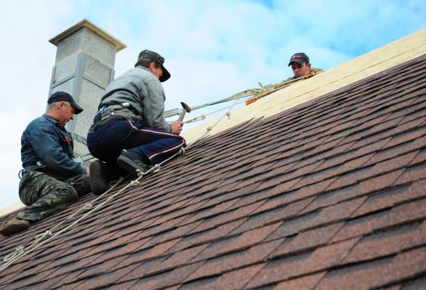 Best Roof Maintenance Services  in Cleveland, MS